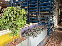 Partij kunstplanten / scheidingswanden - afbeelding 13 van  16
