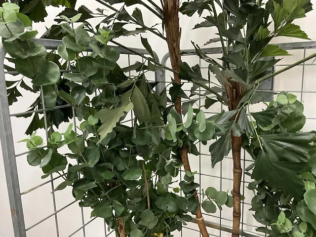 Partij kunstplanten - afbeelding 6 van  7