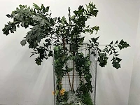 Partij kunstplanten - afbeelding 6 van  7