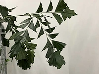 Partij kunstplanten - afbeelding 7 van  7