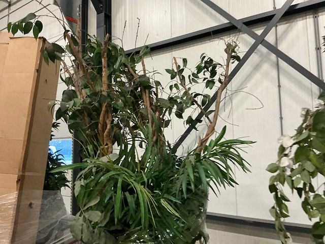 Partij kunstplanten - afbeelding 2 van  14