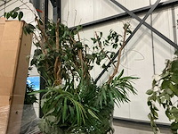 Partij kunstplanten - afbeelding 2 van  14