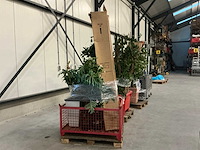 Partij kunstplanten - afbeelding 4 van  14