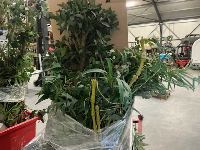 Partij kunstplanten - afbeelding 6 van  14