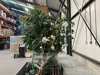 Partij kunstplanten - afbeelding 8 van  14