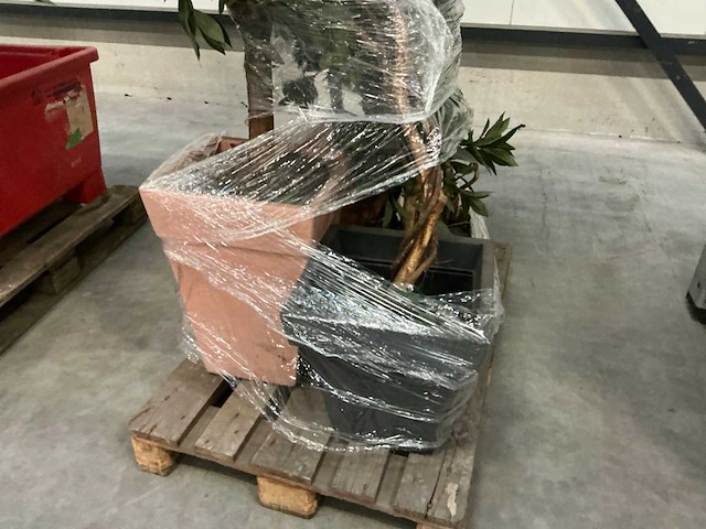Partij kunstplanten - afbeelding 12 van  14