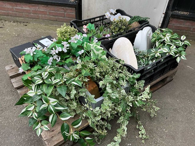Partij kunstplanten - afbeelding 1 van  4