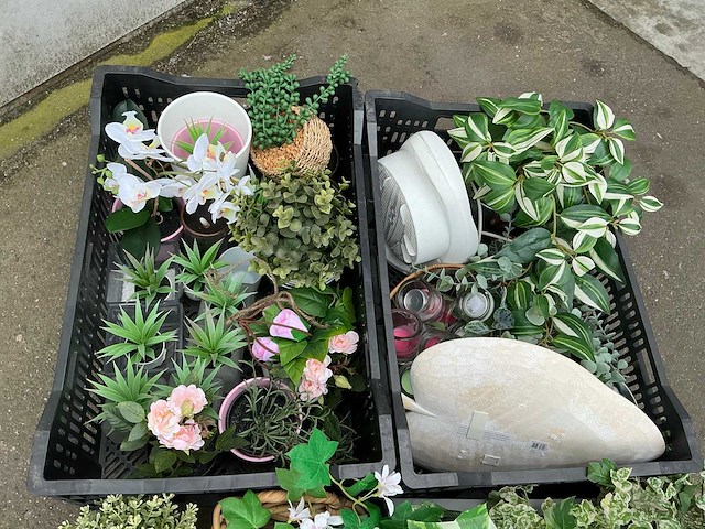 Partij kunstplanten - afbeelding 3 van  4