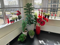 Partij kunstplanten - afbeelding 1 van  5