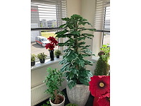 Partij kunstplanten - afbeelding 3 van  5