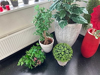 Partij kunstplanten - afbeelding 4 van  5