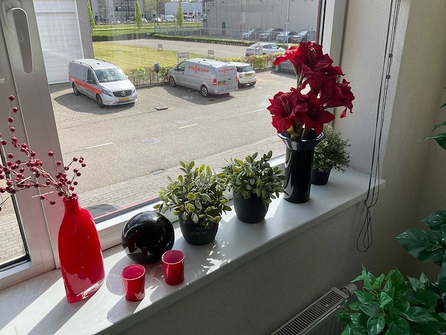 Partij kunstplanten - afbeelding 5 van  5