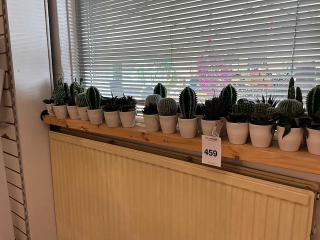 Partij kunstplanten - afbeelding 1 van  3