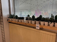 Partij kunstplanten - afbeelding 1 van  3
