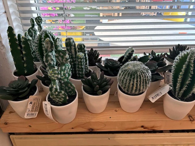 Partij kunstplanten - afbeelding 2 van  3
