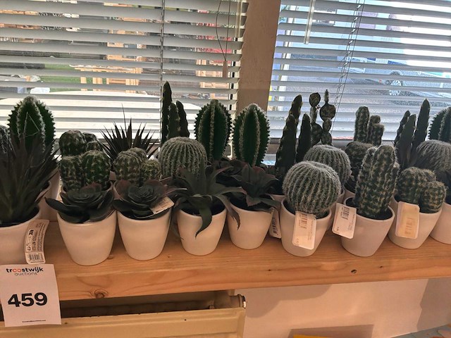 Partij kunstplanten - afbeelding 3 van  3