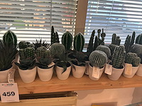 Partij kunstplanten - afbeelding 3 van  3