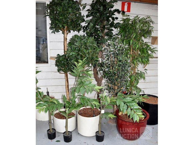 Partij kunstplanten - afbeelding 1 van  5