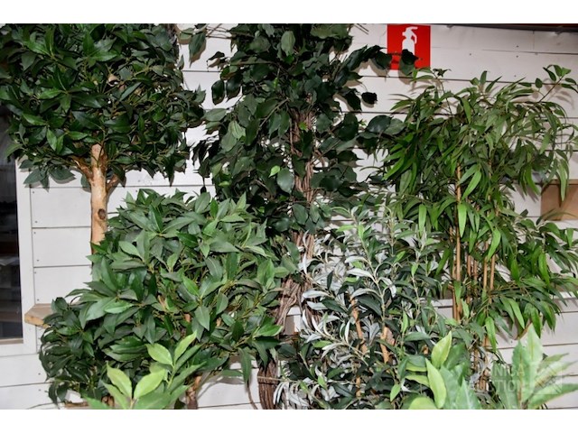 Partij kunstplanten - afbeelding 2 van  5