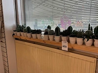 Partij kunstplanten