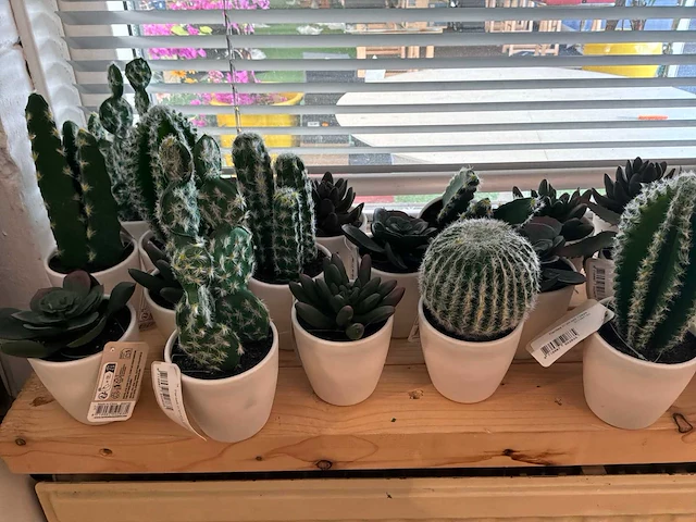 Partij kunstplanten - afbeelding 3 van  7