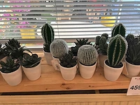 Partij kunstplanten - afbeelding 6 van  7