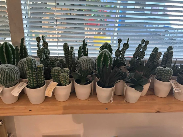 Partij kunstplanten - afbeelding 5 van  7