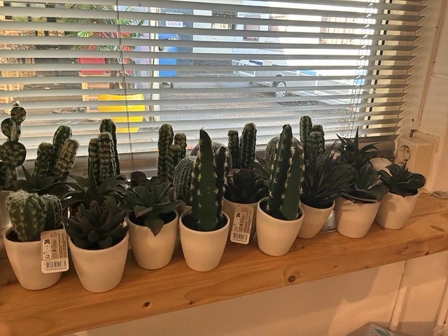 Partij kunstplanten - afbeelding 7 van  7