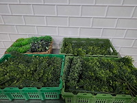 Partij kunststof planten - afbeelding 1 van  5