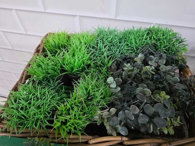 Partij kunststof planten - afbeelding 3 van  5