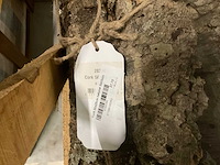 Partij kurk - afbeelding 4 van  5