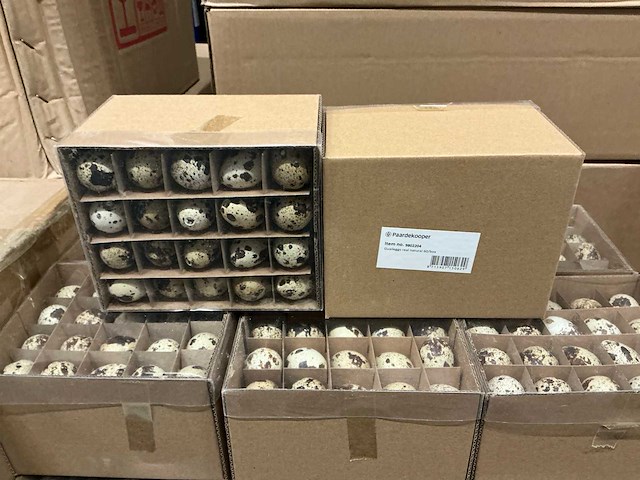 Partij kwarteleieren real naturel (160x) - afbeelding 1 van  3