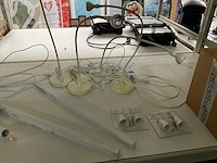 Partij lampen - afbeelding 6 van  8