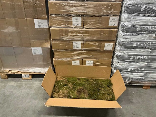 Partij lappenmoos 2kg per doos (33x) - afbeelding 1 van  4