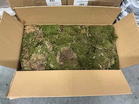 Partij lappenmoos 2kg per doos (33x) - afbeelding 2 van  4