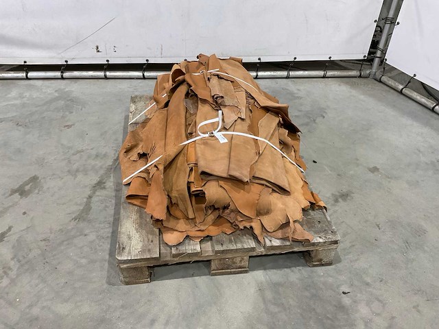 Partij leer - afbeelding 3 van  5