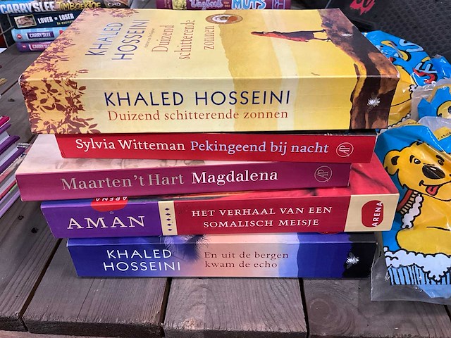 Partij leesboeken en divers - afbeelding 4 van  6