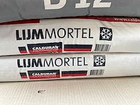 Partij lijmmortel - afbeelding 5 van  6