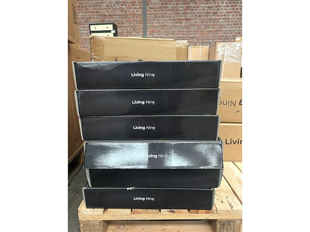 Partij living nine schoenenkasten 12 vakken en fitness hoelahoeps - afbeelding 4 van  5