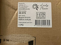 Partij lovely flower bolpotten d13/31 h30cm m/kurk (55x) - afbeelding 5 van  5