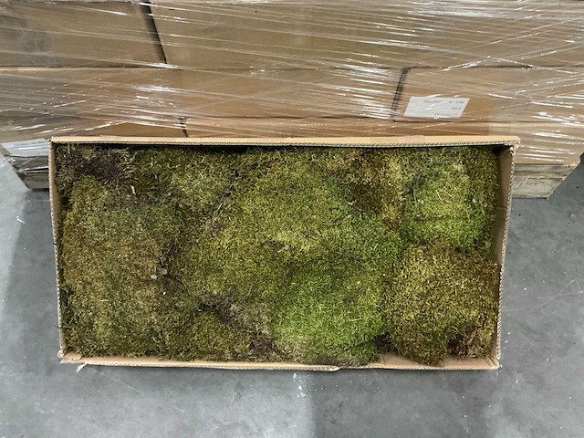 Partij moss flat 2kg per doos (39x) - afbeelding 1 van  3