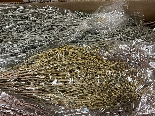 Partij murga gras pastel (162x) - afbeelding 5 van  8