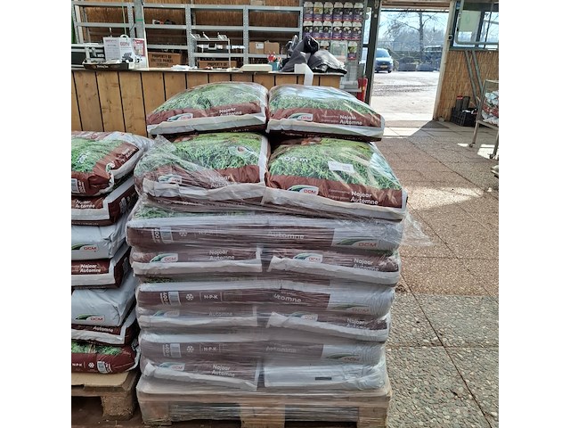 Partij najaarsmest dcm - afbeelding 1 van  12