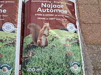 Partij najaarsmest dcm - afbeelding 6 van  12