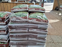 Partij najaarsmest dcm - afbeelding 10 van  12