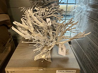 Partij nature curry bush stonewash 500gr (29x) - afbeelding 3 van  5