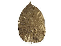 Partij natuur- en decoratieproducten (circa 145 pallets) - afbeelding 4 van  91