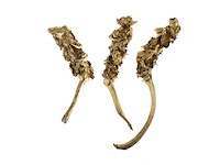 Partij natuur- en decoratieproducten (circa 145 pallets) - afbeelding 5 van  91