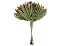 Partij natuur- en decoratieproducten (circa 145 pallets) - afbeelding 9 van  91