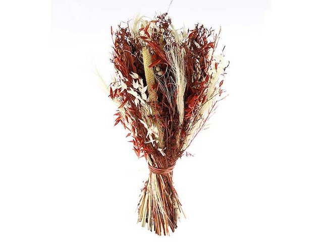 Partij natuur- en decoratieproducten (circa 145 pallets) - afbeelding 14 van  91